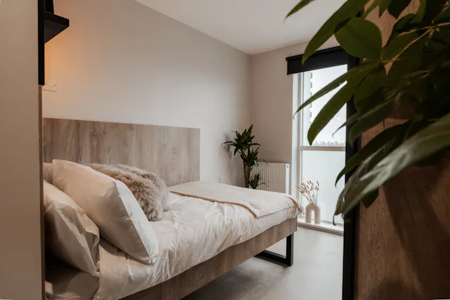 Superior room image 2