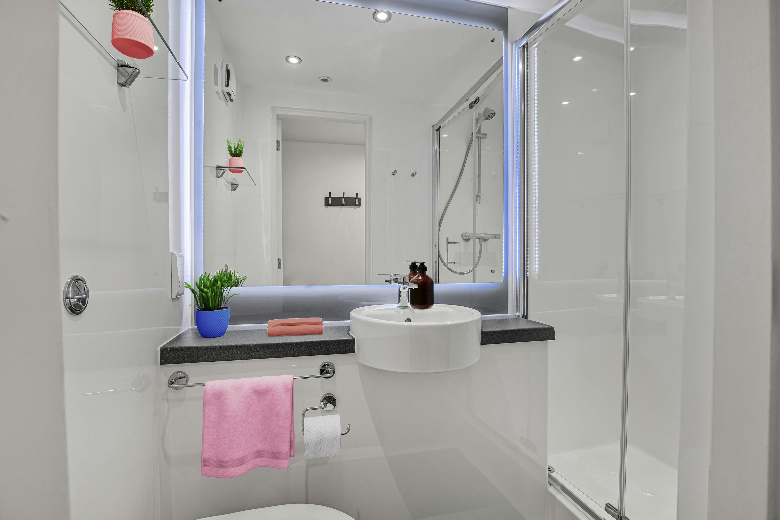 Bronze Ensuite Lower Level