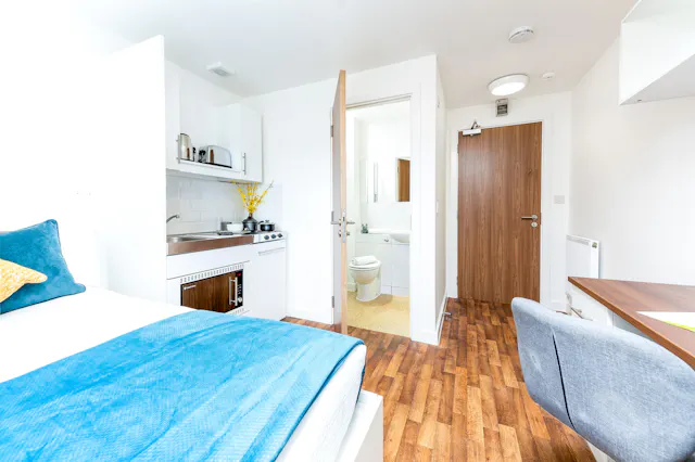 Large Studio room image 2
