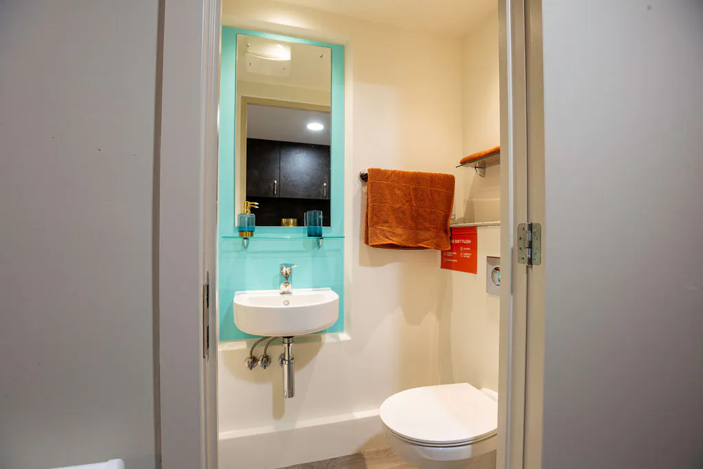 Compact Basement Studio BATHROOM 2