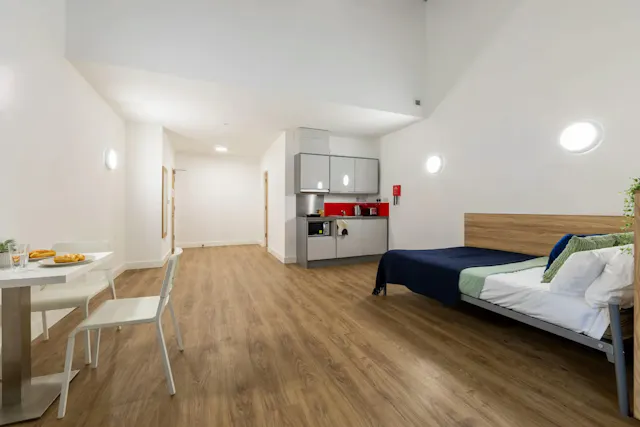 Platinum Studio  room image 2
