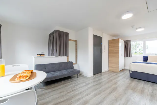 Platinum Studio  room image 6