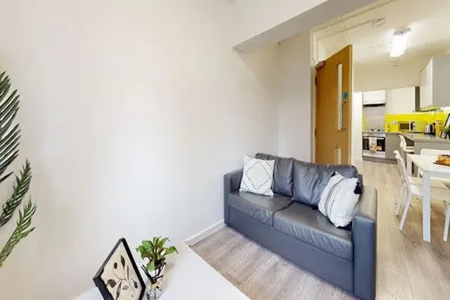 Silver Plus Non Ensuite - Shared Lounge room image 4