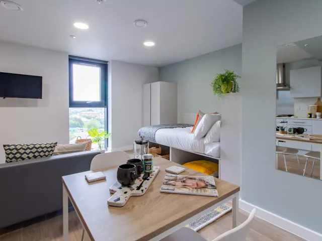 Platinum Studio room image 1