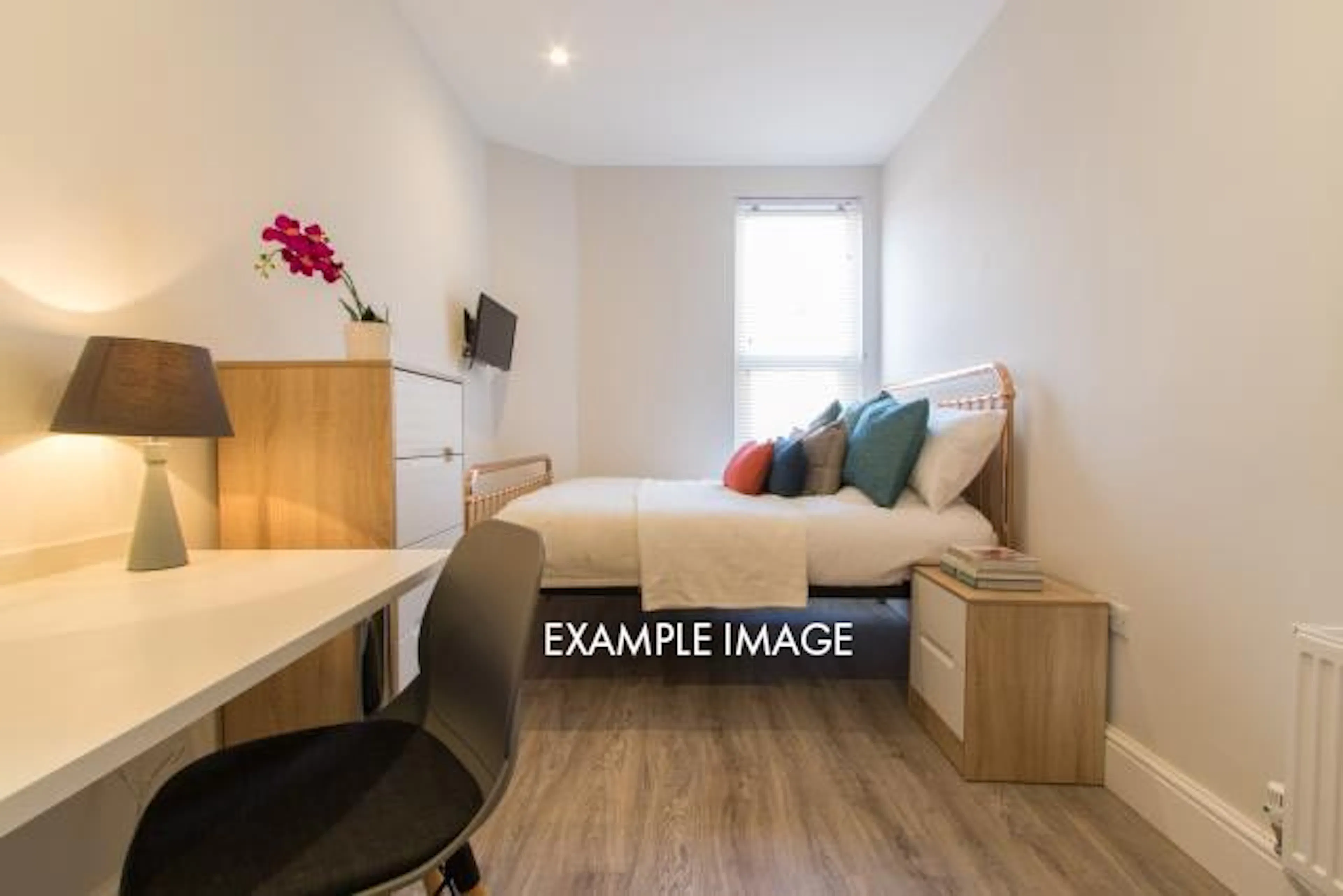 ROOM ROOM 4
