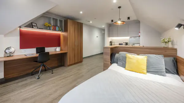 Deluxe Plus room image 1