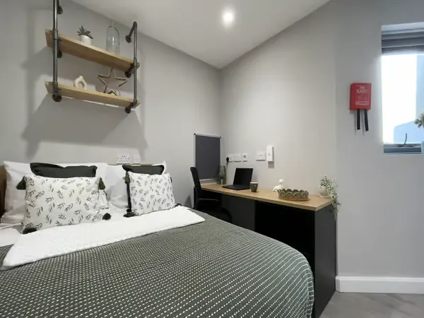 Silver Studio room image 2