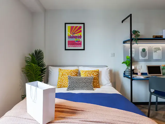 Bronze Suite room image 2