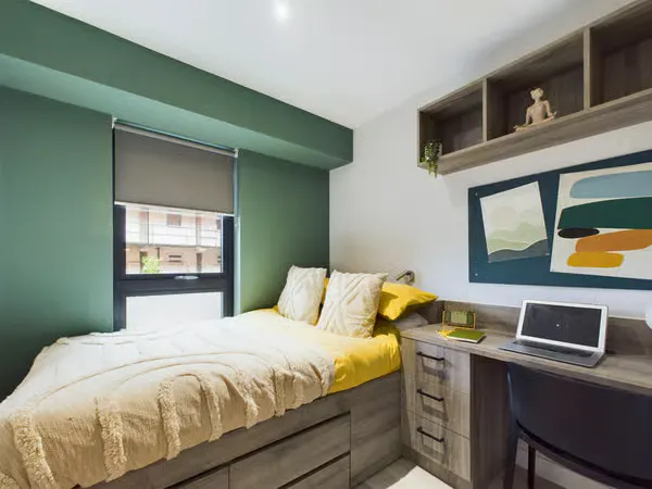 Luxury Ensuite room image 1
