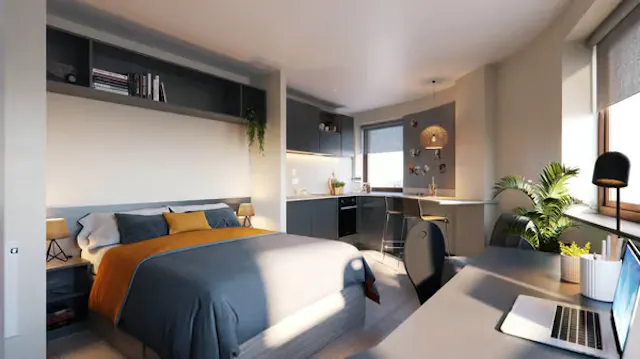 Deluxe Studio room image 1