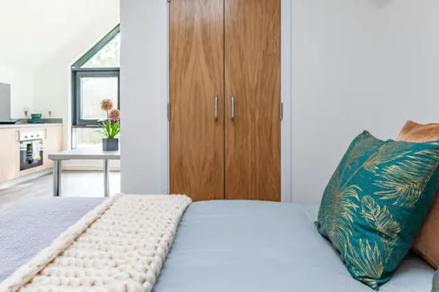Penthouse Apartment room image 1