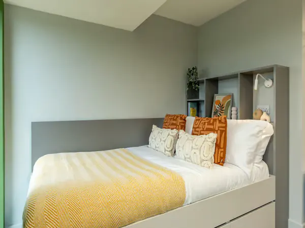 Platinum Plus Studio room image 1