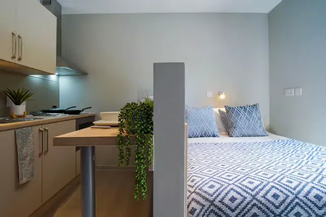 Premium Studio room image 1