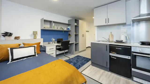 Bronze Studio Plus room image 1