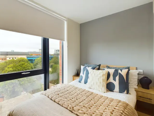 Deluxe Studio room image 1