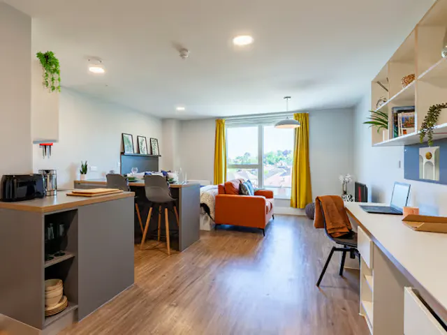 Luxury Studio room image 1