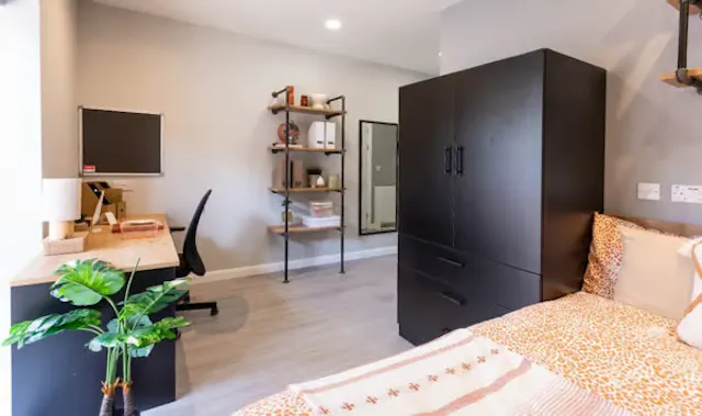 Deluxe Studio room image 1