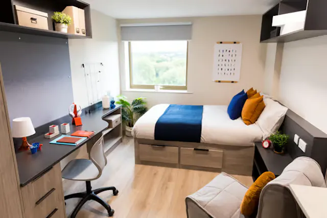 Premium Studio room image 1