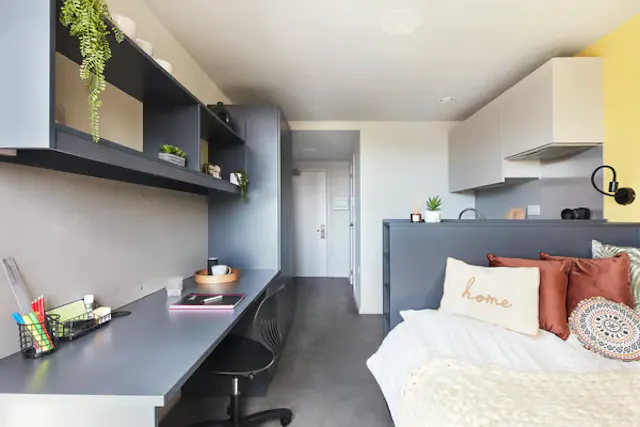 Deluxe Studio room image 1