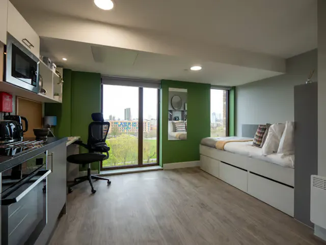Silver Plus Studio  room image 1