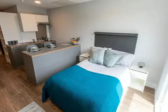 Deluxe Studio room image 1