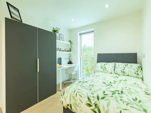 Deluxe Plus Studio room image 1