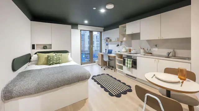 Platinum Accessible Studio room image 1