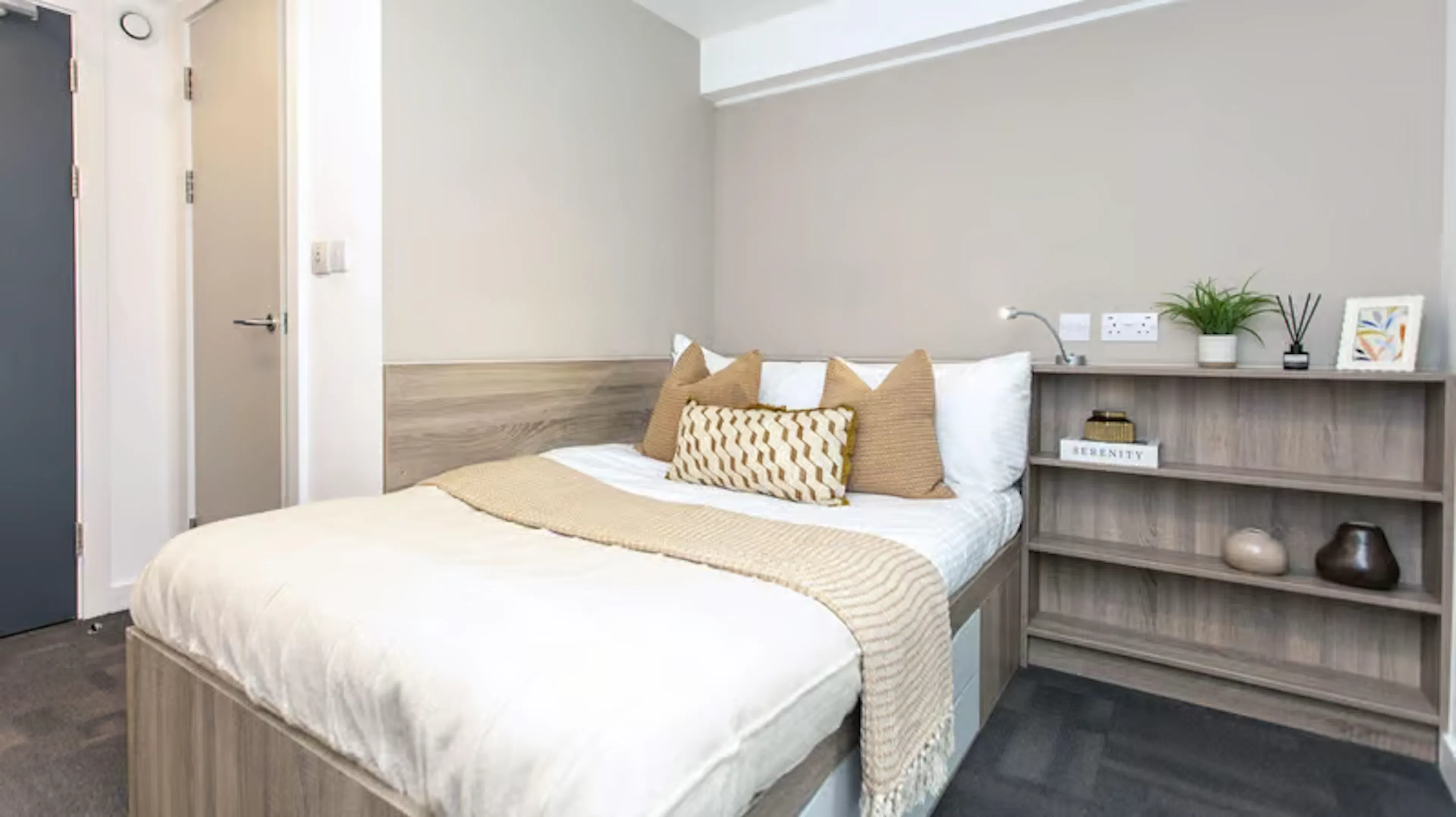 Standard Single Ensuite ROOM 4