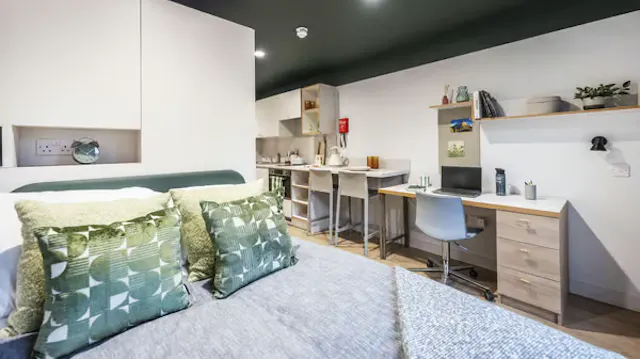 Silver Plus Studio room image 1