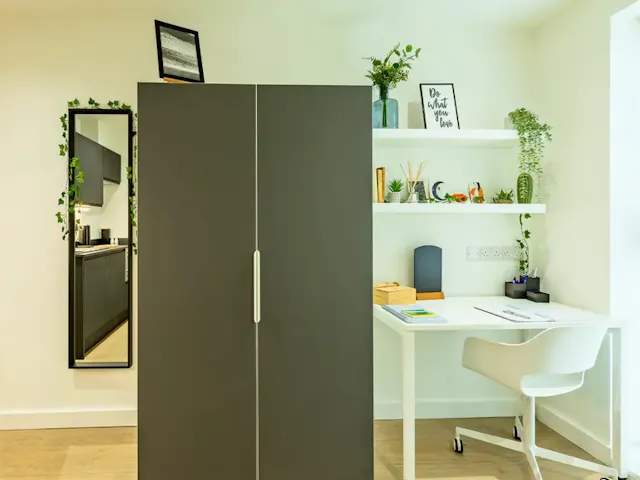 Deluxe Studio room image 1