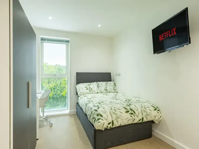 Deluxe Accessible Studio room image 1