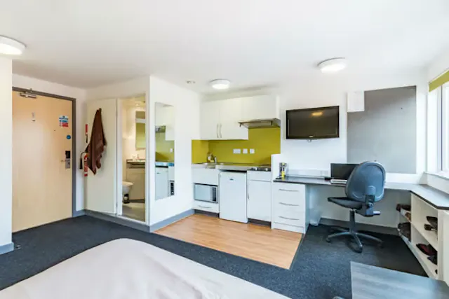 Extra Large Studio room image 1