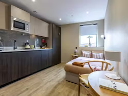 tribu-kingston-kingston-Great Plus