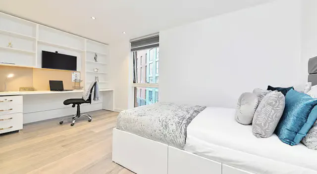 Large Premium Studio room image 1