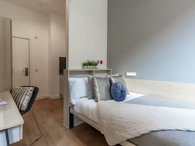 Premium Accessible Studio room image 1