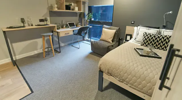 Premium Accessible Studio room image 1