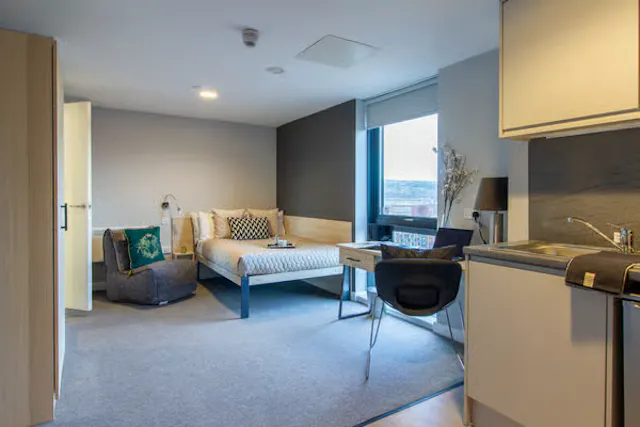 Deluxe Studio room image 1