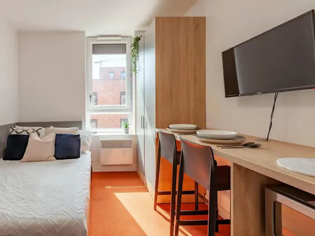 Premium Studio room image 1