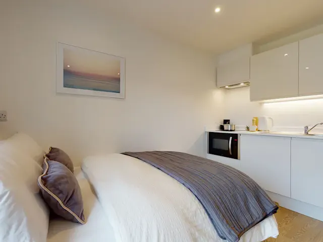 Classic Plus room image 1