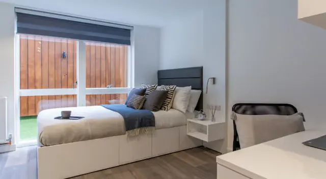 Classic Studio Plus room image 1