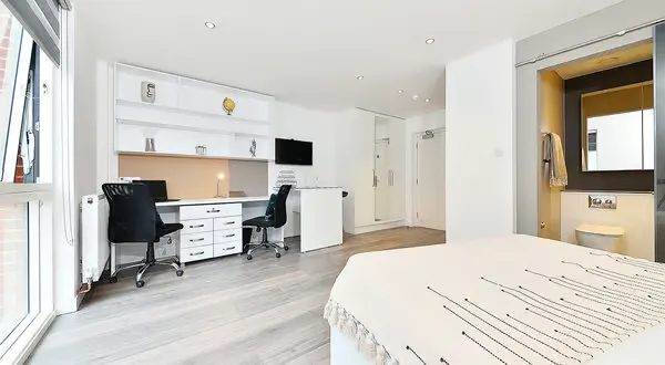 Deluxe Double Studio room image 1