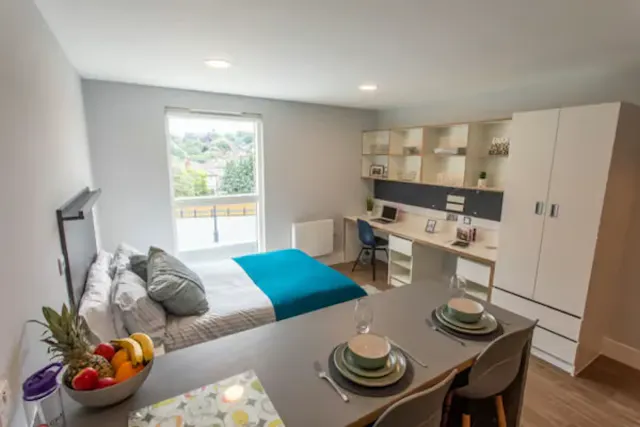 Luxury Studio Terrace room image 1