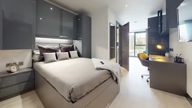 Executive Studio room image 1