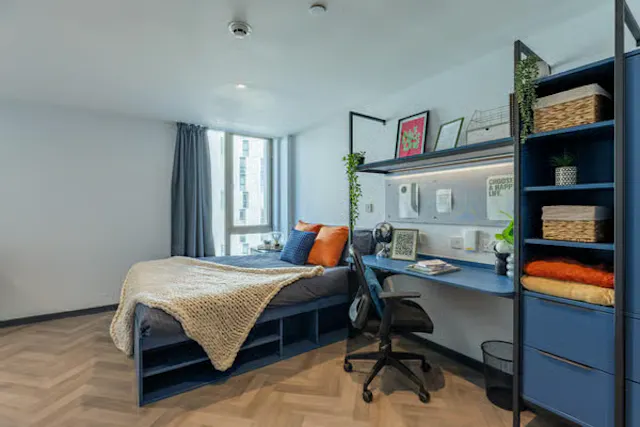 Platinum Suite - Accessible room image 1