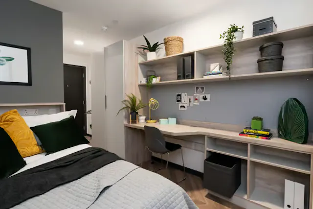 Deluxe Plus En Suite room image 1