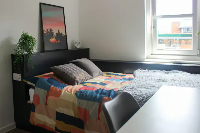 Premium Plus room image 3