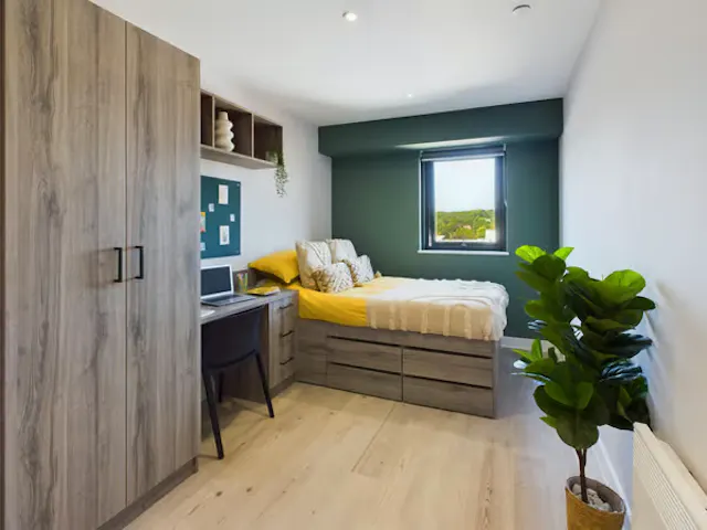 Luxury Studio room image 1