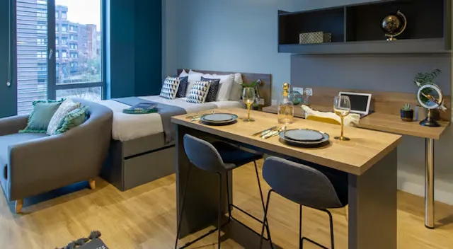 Luxury Plus Studio room image 1