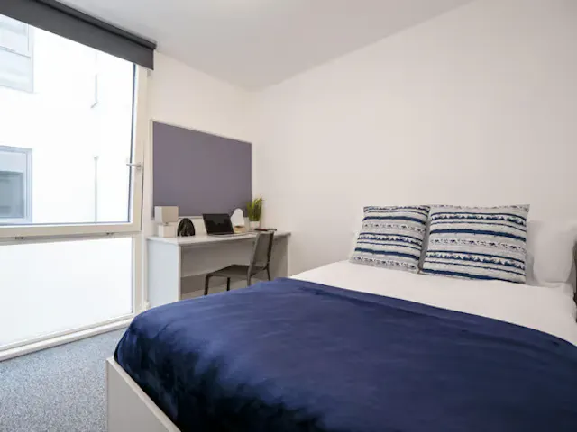 Bronze Ensuite room image 1
