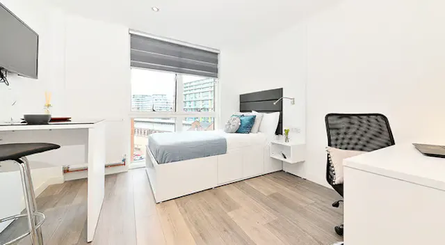 Large Classic Studio room image 1